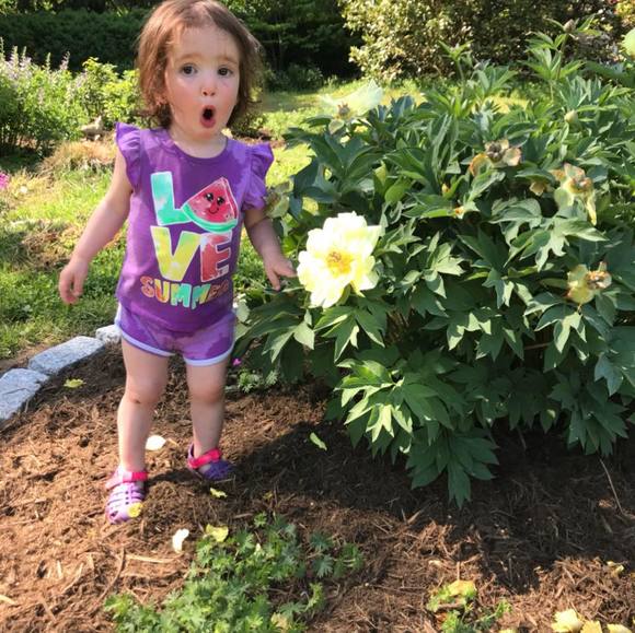 Meet your Posher, Dharam - Picture 1 of 1